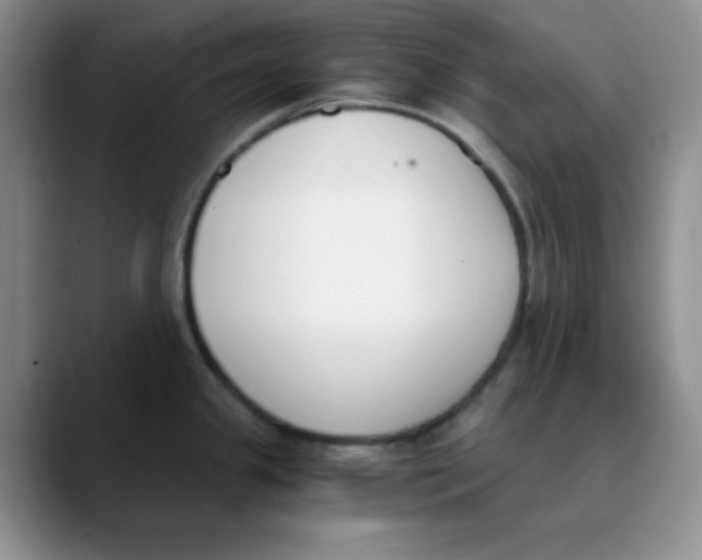 X0000089851341200707191855