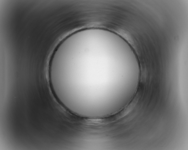 X0000089851342200707191855