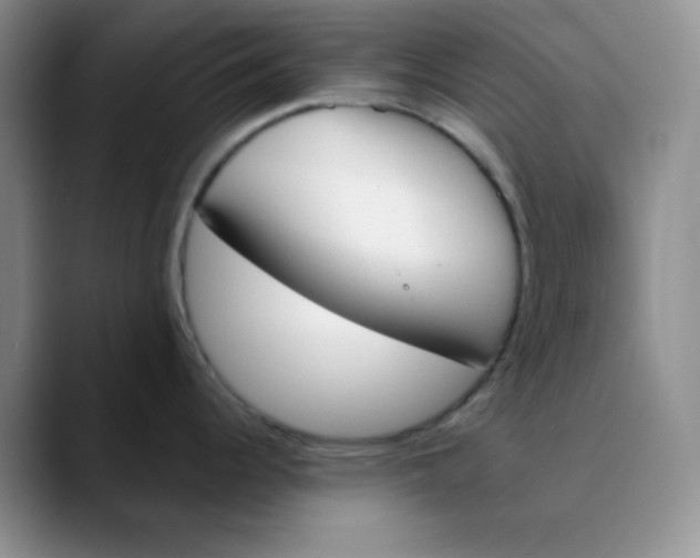 X0000089851344200707191855