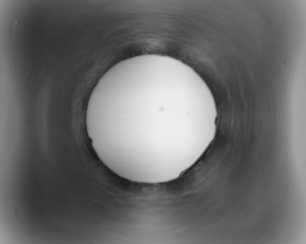 X0000089851345200707191855