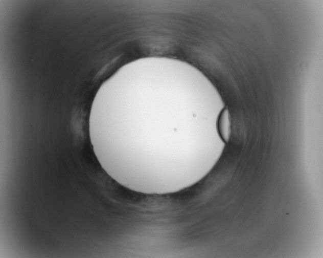 X0000089851346200707191855