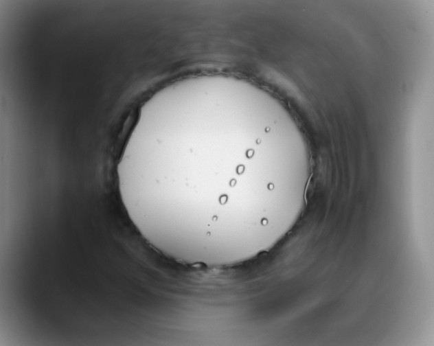 X0000089851352200707191855