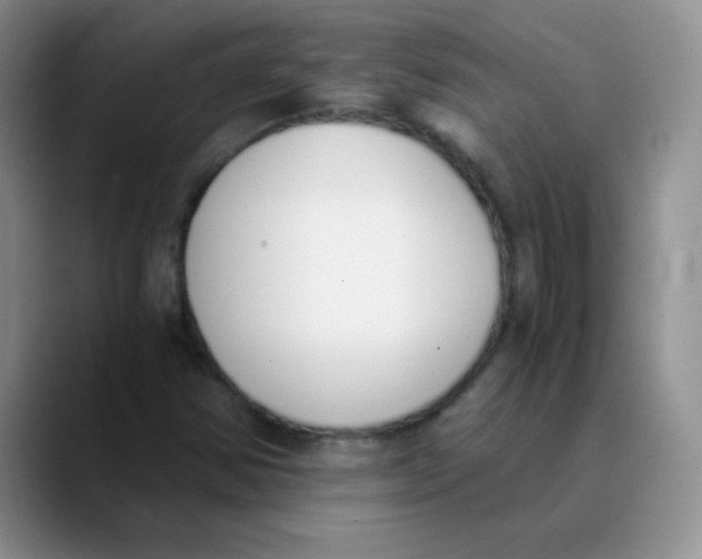 X0000089851354200707191855