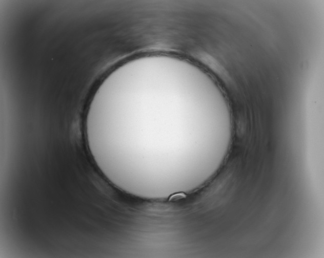 X0000089851356200707191855