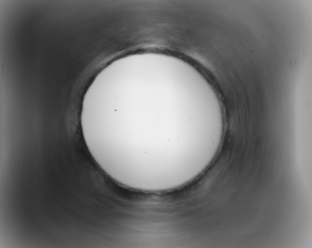 X0000089851359200707191855