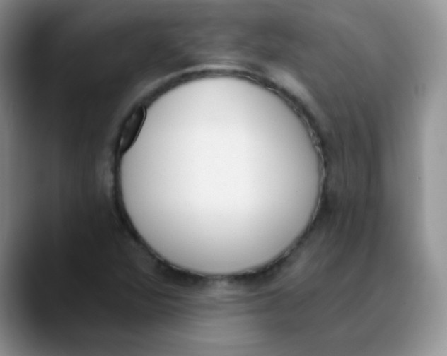 X0000089851360200707191855