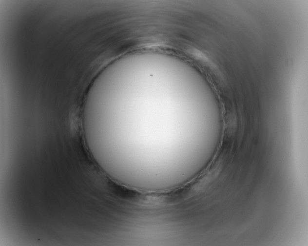 X0000089851361200707191855