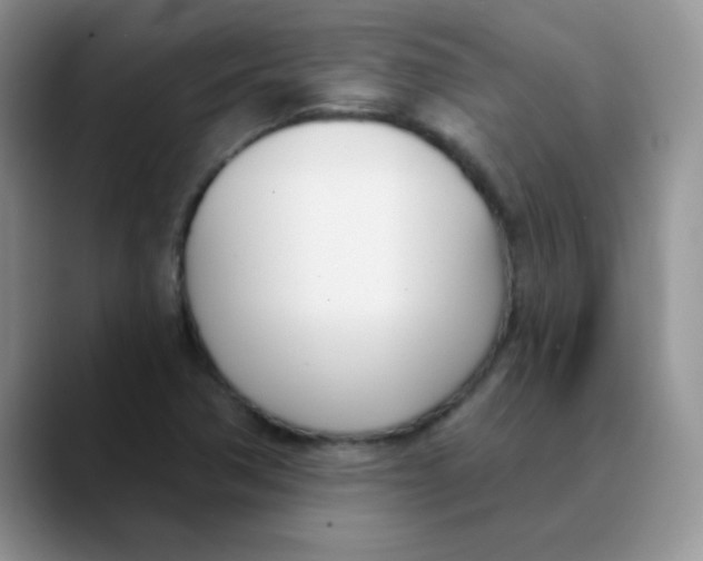 X0000089851362200707191855