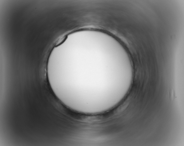 X0000089851367200707191855