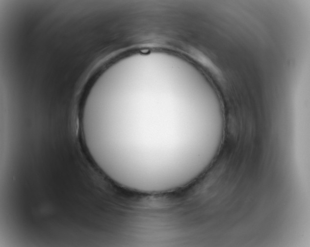 X0000089851368200707191854