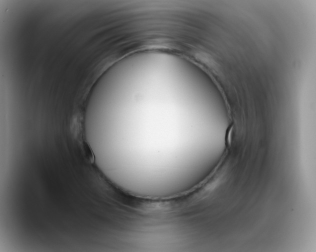 X0000089851369200707191854