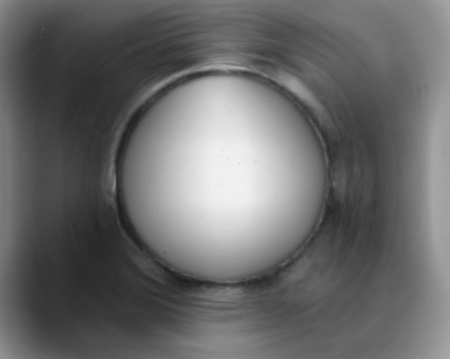 X0000089851372200707191854