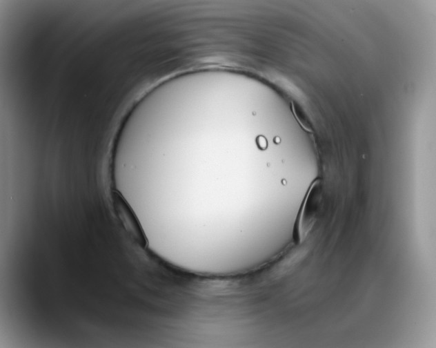 X0000089851373200707191854