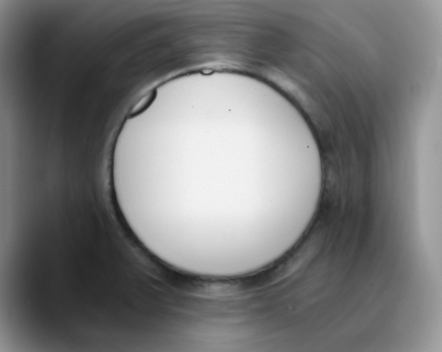 X0000089851375200707191854