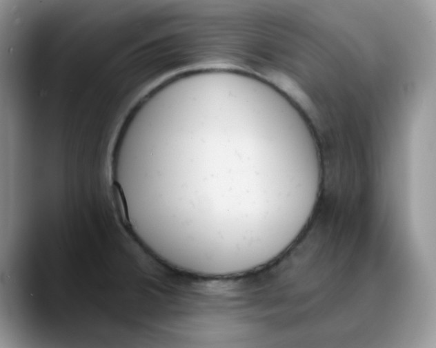 X0000089851380200707191854