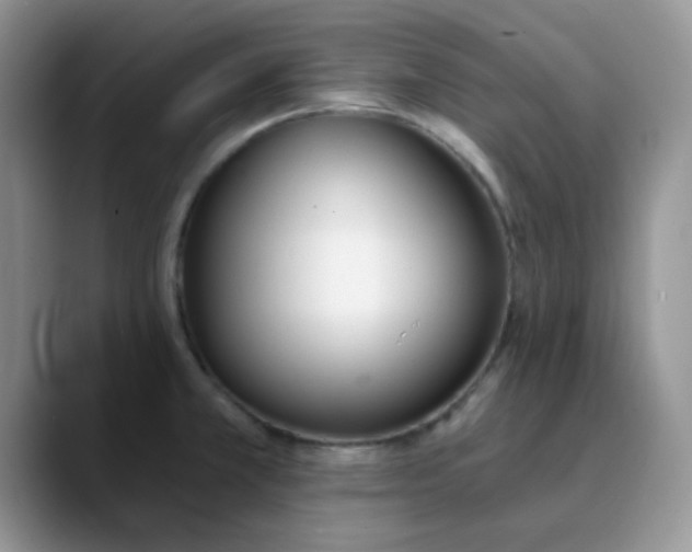 X0000089851381200707191854