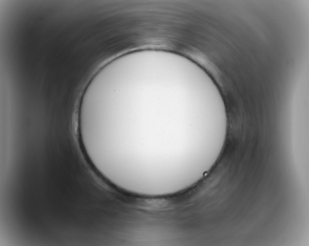 X0000089851383200707191854