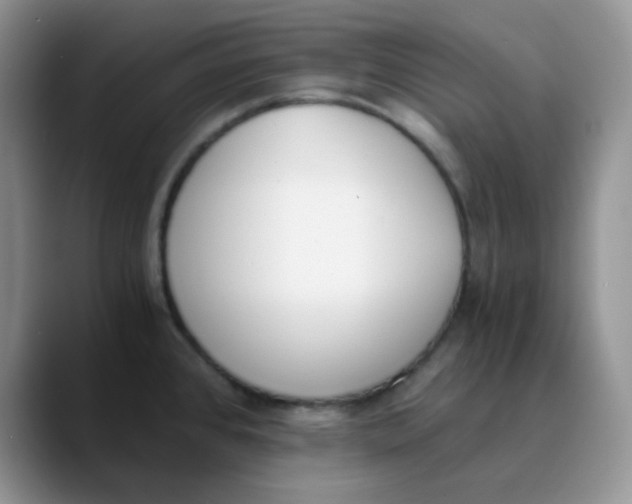 X0000089851384200707191854