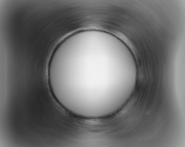 X0000089851388200707191854