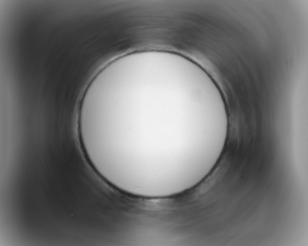 X0000089851390200707191854