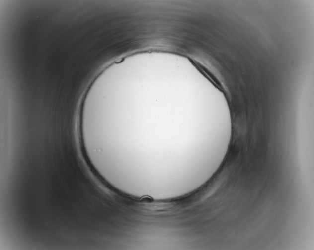 X0000089851391200707191854