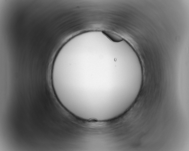 X0000089851392200707191854