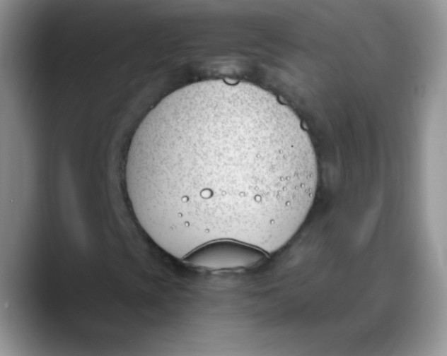 X0000089851393200707191854