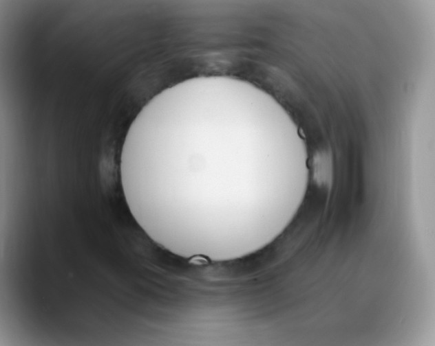 X0000089851395200707191854