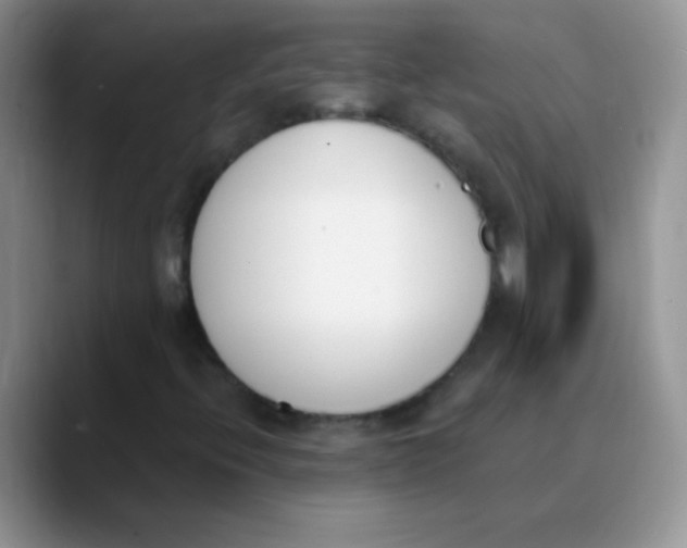 X0000089851396200707191854