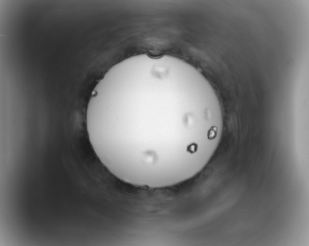 X0000089851397200707191854