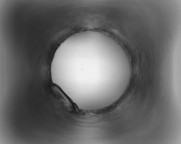 X0000089851398200707191854