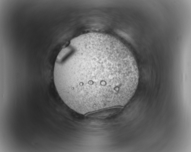 X0000089851399200707191854