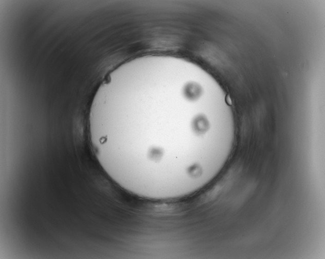 X0000089851401200707191854