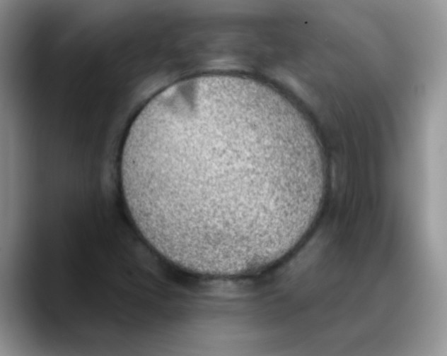 X0000089851405200707191854