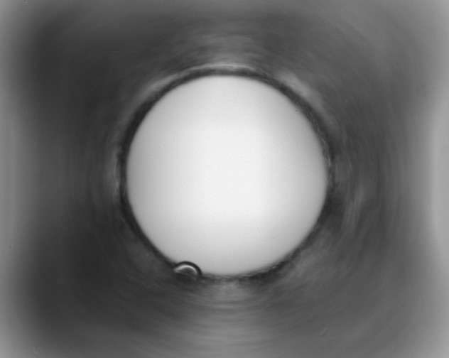 X0000089851408200707191854