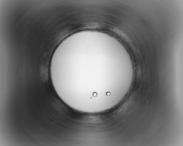 X0000089851409200707191854