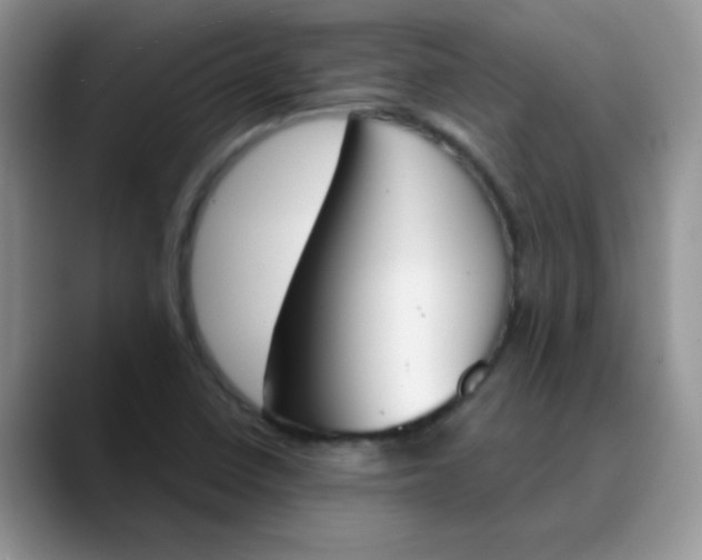 X0000089851410200707191854