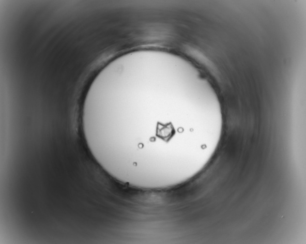 X0000089851411200707191854