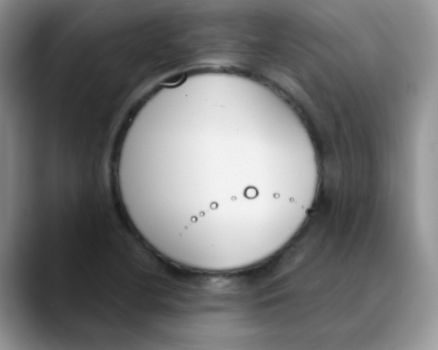 X0000089851412200707191854