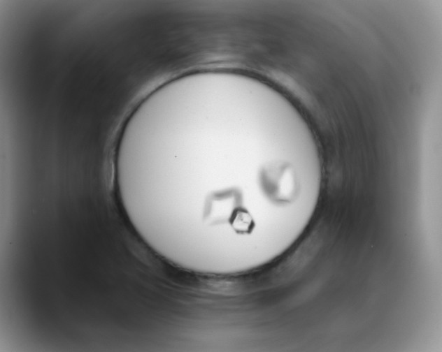 X0000089851413200707191854