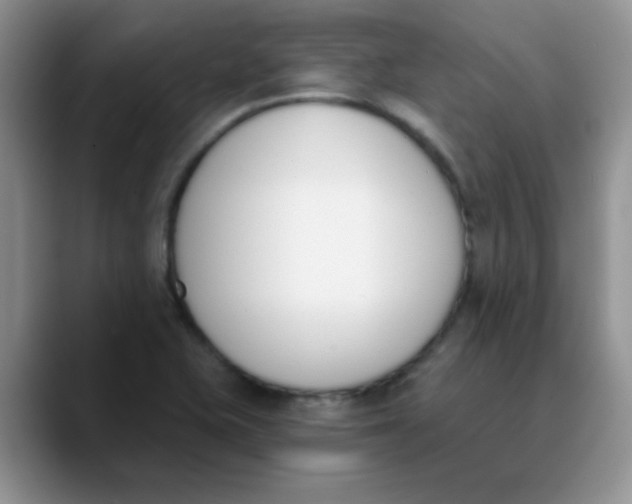 X0000089851415200707191854