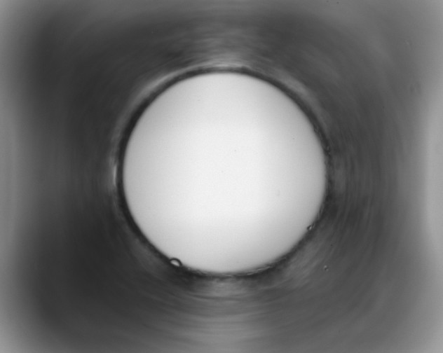 X0000089851416200707191854