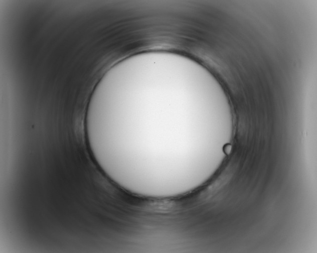 X0000089851417200707191854