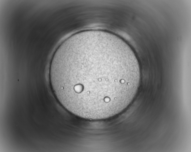 X0000089851421200707191854