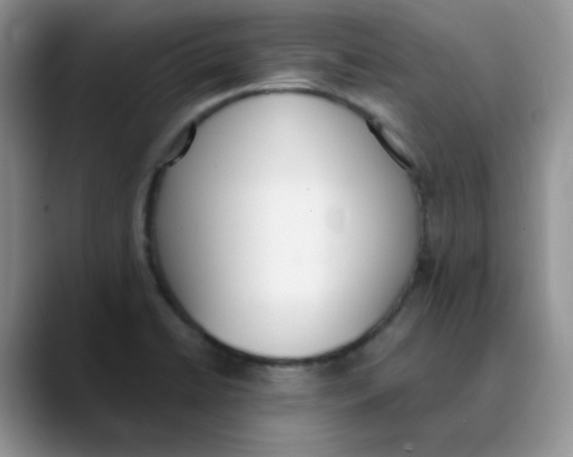 X0000089851422200707191854