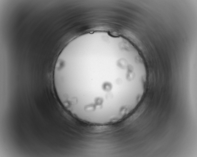 X0000089851425200707191854