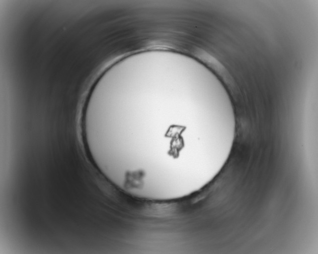 X0000089851427200707191854