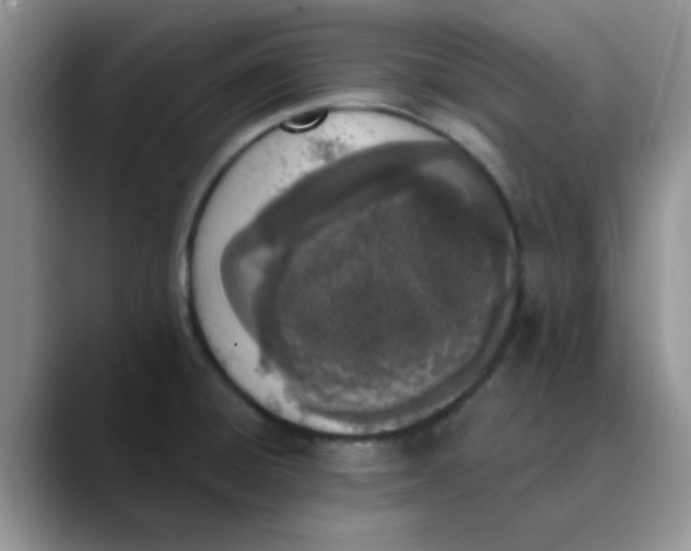 X0000089851428200707191854