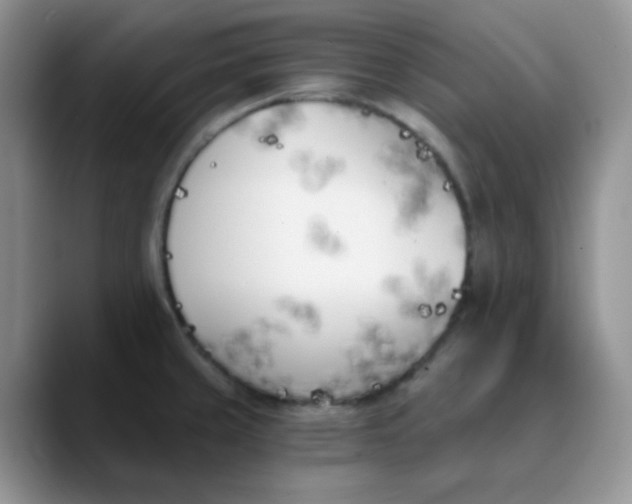 X0000089851429200707191854