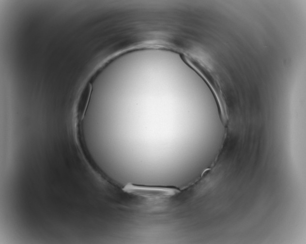 X0000089851430200707191854